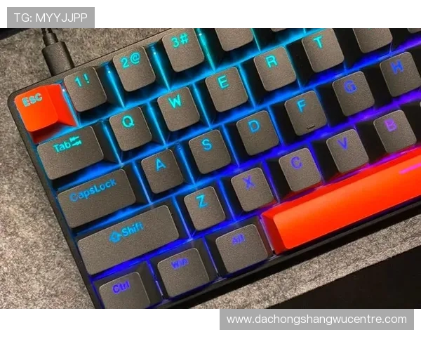 电竞磁轴全键机械键盘高性能打击感与持久耐用性完美结合适合长时间游戏使用